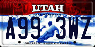 UT license plate A993WZ
