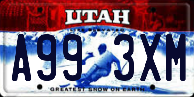 UT license plate A993XM