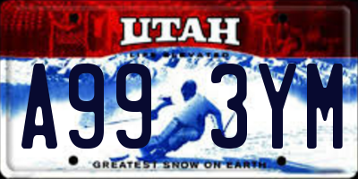 UT license plate A993YM