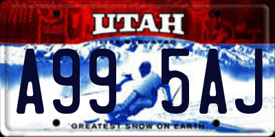 UT license plate A995AJ