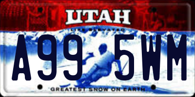 UT license plate A995WM