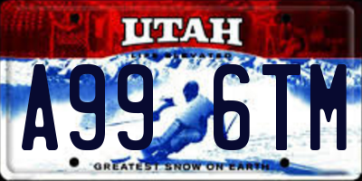 UT license plate A996TM