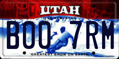 UT license plate B007RM