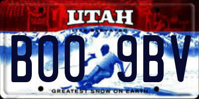 UT license plate B009BV