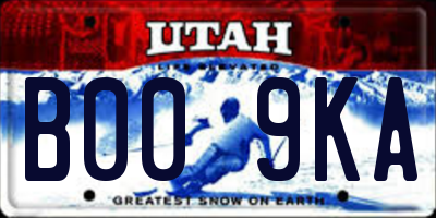 UT license plate B009KA