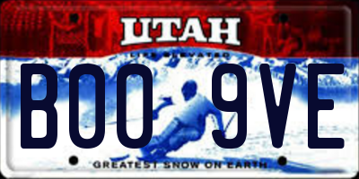 UT license plate B009VE