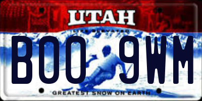 UT license plate B009WM