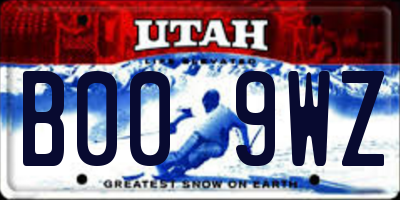 UT license plate B009WZ