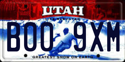 UT license plate B009XM