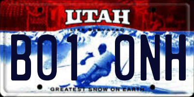 UT license plate B010NH