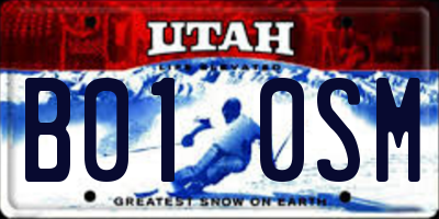 UT license plate B010SM