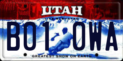 UT license plate B010WA