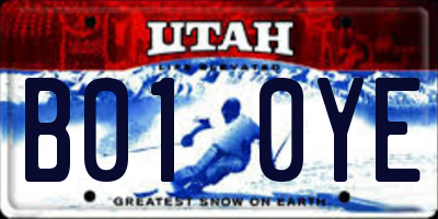 UT license plate B010YE