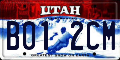 UT license plate B012CM