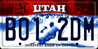 UT license plate B012DM