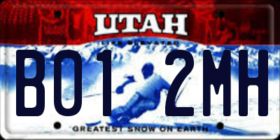 UT license plate B012MH