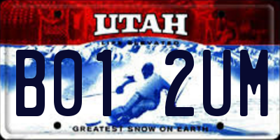 UT license plate B012UM