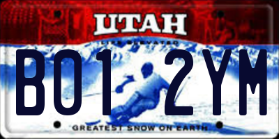 UT license plate B012YM