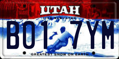 UT license plate B017YM