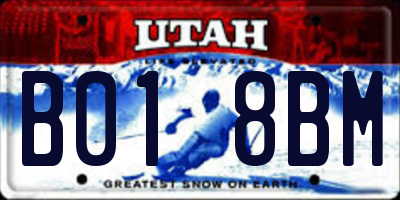 UT license plate B018BM