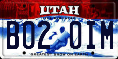 UT license plate B020IM