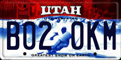 UT license plate B020KM
