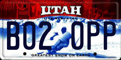UT license plate B020PP