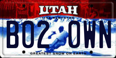 UT license plate B020WN