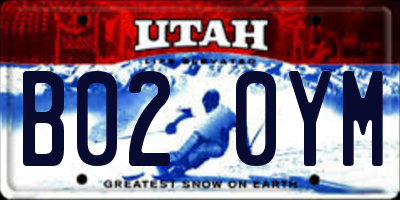 UT license plate B020YM
