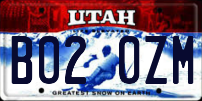 UT license plate B020ZM
