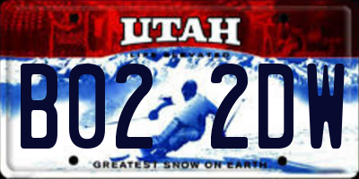 UT license plate B022DW