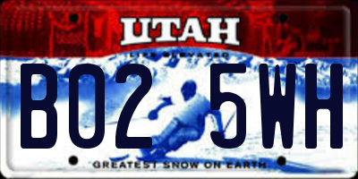 UT license plate B025WH