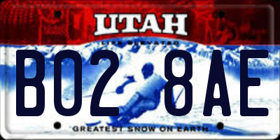 UT license plate B028AE