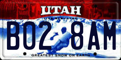 UT license plate B028AM