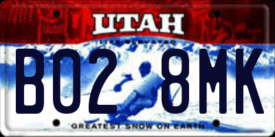 UT license plate B028MK