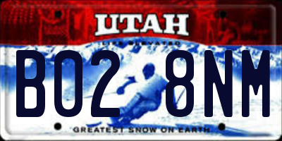 UT license plate B028NM