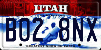 UT license plate B028NX