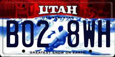 UT license plate B028WH
