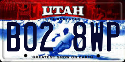 UT license plate B028WP