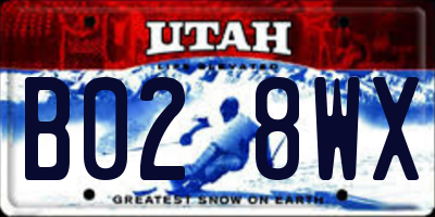 UT license plate B028WX