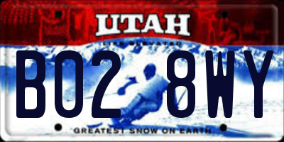 UT license plate B028WY