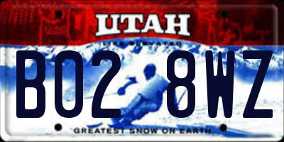 UT license plate B028WZ