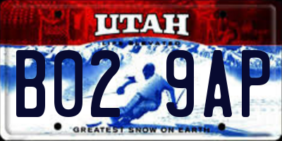 UT license plate B029AP