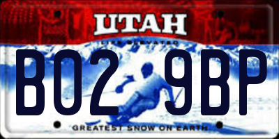 UT license plate B029BP