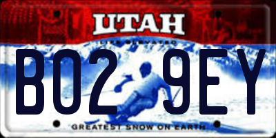 UT license plate B029EY