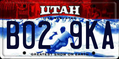 UT license plate B029KA