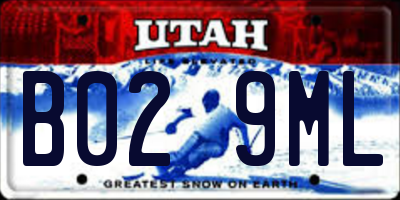 UT license plate B029ML