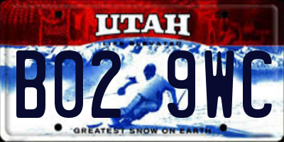 UT license plate B029WC