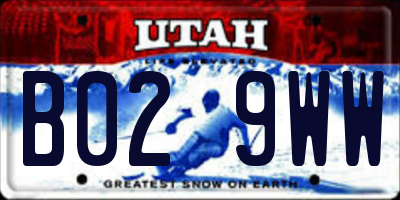 UT license plate B029WW