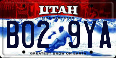 UT license plate B029YA